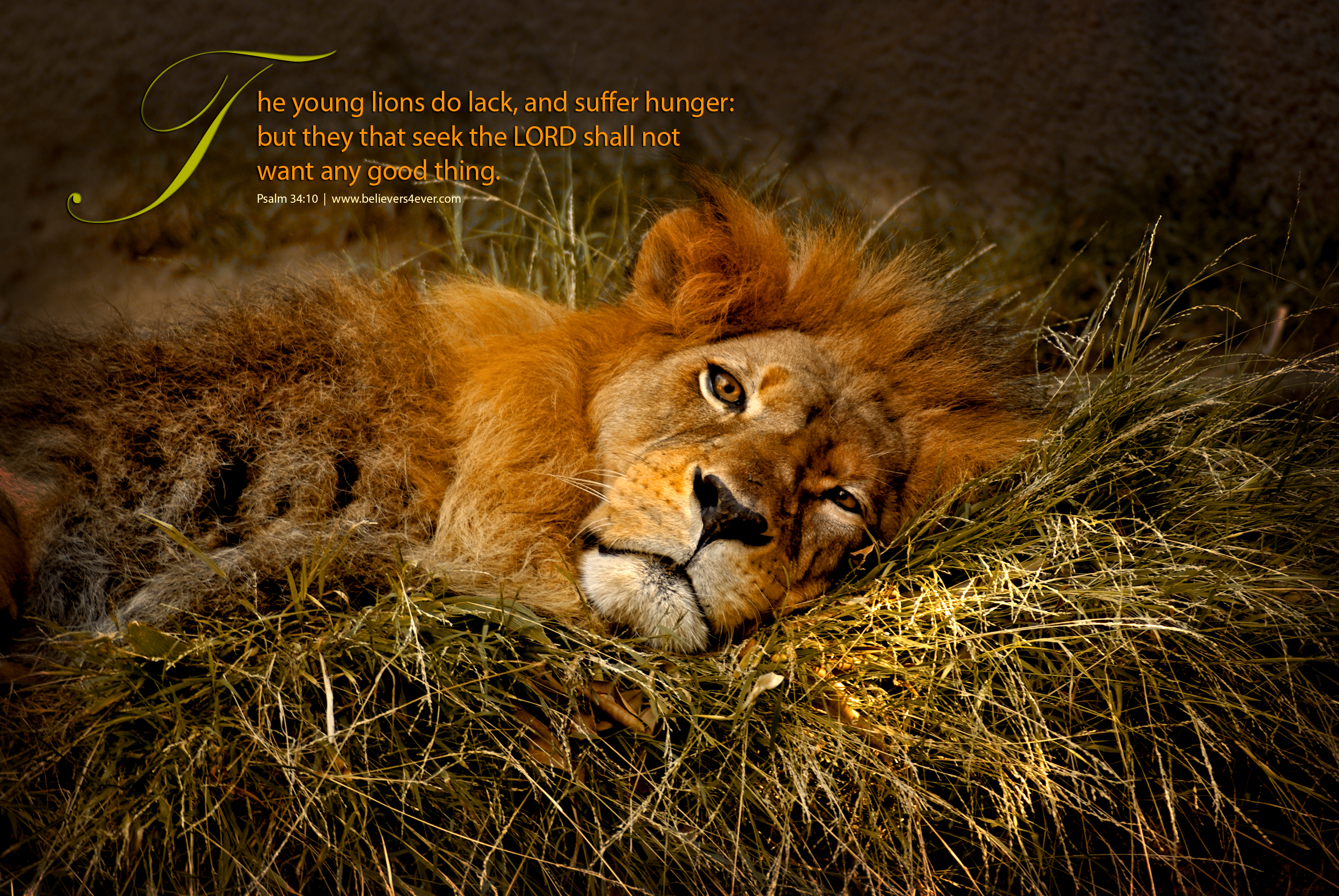psalm-34vs10