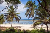11826743-beach-in-kenya-tiwi-beach
