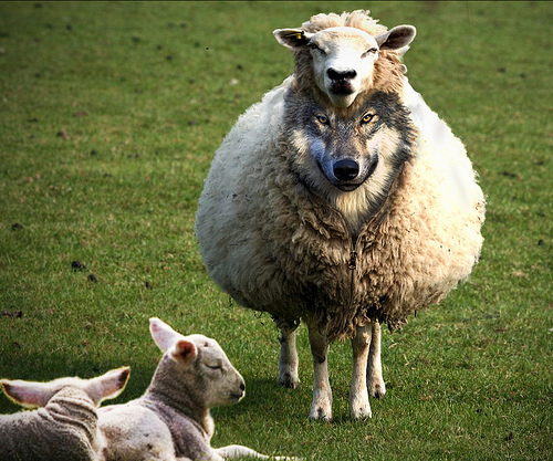 wolf-in-sheep-clothing
