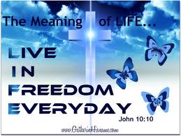 Live in freedom everyday